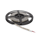 Banda LED - Alb Mediu - 5 m