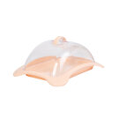 Cutie pentru Branzeturi - Plastic - 16 x 12,5 x 7,1 cm