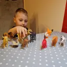 Set Figurine Animale - 12 buc