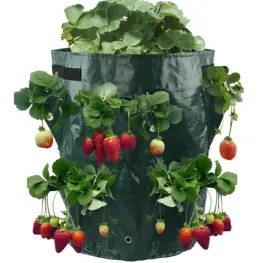 Sac de plantare căpșuni verde